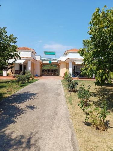 a road leading to a large house with trees at George house in Paliouri
