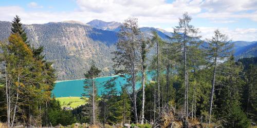 a view of a lake in the middle of a forest at Premium Apartments am Weißensee in Weissensee