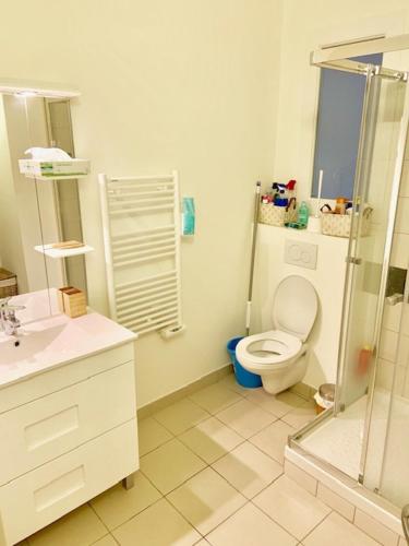 une salle de bain avec toilettes, douche et lavabo dans l'établissement La Roze du Vieux-Port, à Marseille