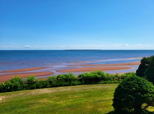 a view of the ocean from a lawn at True Living Oceanfront Cottage in Cumberland