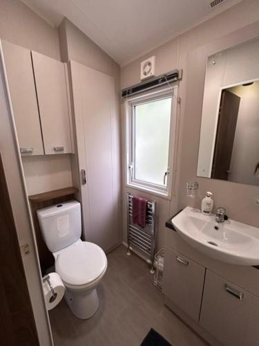 a bathroom with a toilet and a sink at 23 larch view luxury caravan tattershall lakes in Tattershall