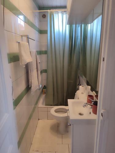 une salle de bain avec toilettes, lavabo et douche dans l'établissement Appart à dix minutes de Paris, à Vitry-sur-Seine