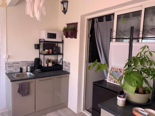 une petite cuisine avec un évier et un micro-ondes dans l'établissement Loucoraly, à Cavaillon