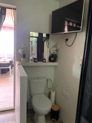 une salle de bain avec toilettes et miroir dans l'établissement Loucoraly, à Cavaillon