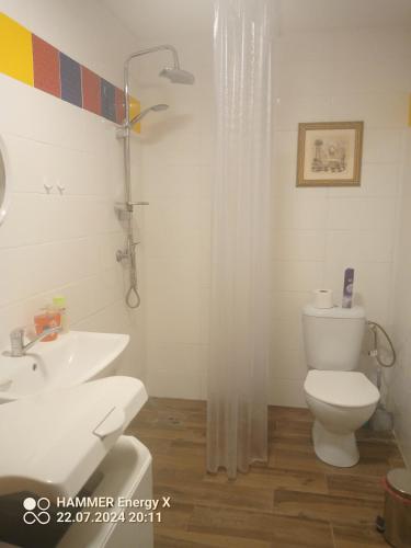 a bathroom with a white toilet and a sink at Pod kláštorom in Svätý Beňadik