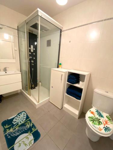 une salle de bain avec une douche, des toilettes et un lavabo dans l'établissement Le Familial, Piscine Plage et Garage, à Villeneuve-Loubet