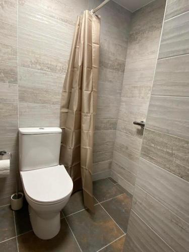a bathroom with a toilet and a shower at GreJoTa in Šilutė