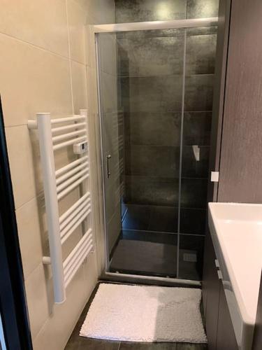 une salle de bain avec une douche avec une porte vitrée dans l'établissement Maison au bord du canal, à Moret-sur-Loing