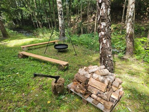 a fire pit and a pile of logs in a forest at Nad Potokiem z Alpakami in Stronie Śląskie