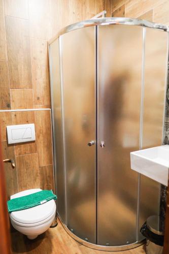 a shower in a bathroom with a toilet and a sink at 4 Rooms 1940 in Gjirokastër