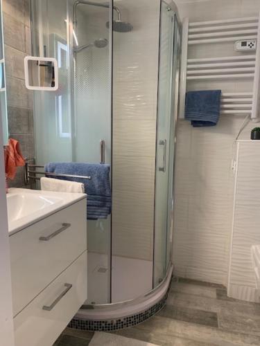une salle de bain avec douche et lavabo dans l'établissement Les Terrasses du Port, à Hyères