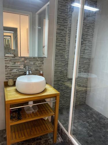 ヴィルヌーヴ・ラ・ガレンヌにあるTrès joli appartement mignon confortable à Paris Villeneuve-la-Garenneの洗面台とシャワー付きのバスルーム