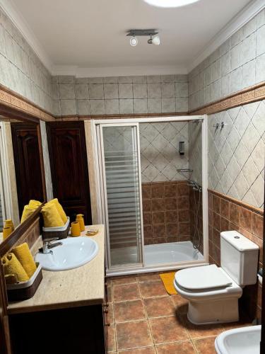 a bathroom with a shower and a toilet and a sink at Casa Cueva de los Verdes in Punta Mujeres
