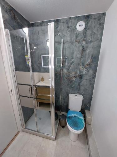 une salle de bain avec une douche, des toilettes et un lavabo dans l'établissement Studio touristique rénové, à Strasbourg