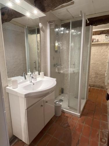 une salle de bain avec un lavabo et une douche dans l'établissement Belle bergerie au cœur des montagnes, à Germs-sur-lʼOussouet