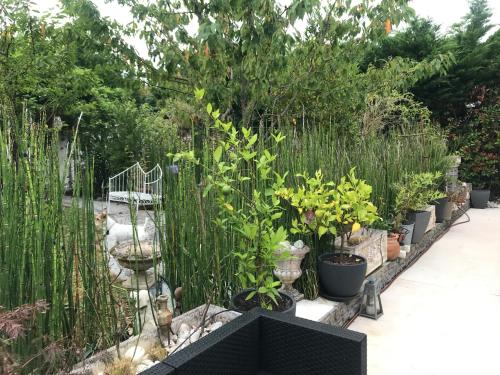 a garden with plants in pots on a patio at Tercier de vigne in Chécy