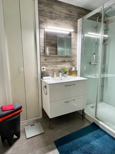 une salle de bain avec un lavabo blanc et une douche dans l'établissement Escale urbaine studio Rennes, à Rennes