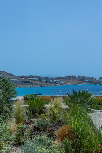a view of a body of water with plants at Noima Boutique Hotel Mykonos in Agios Ioannis Mykonos