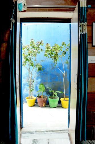 Un jardín fuera de MH Guest House