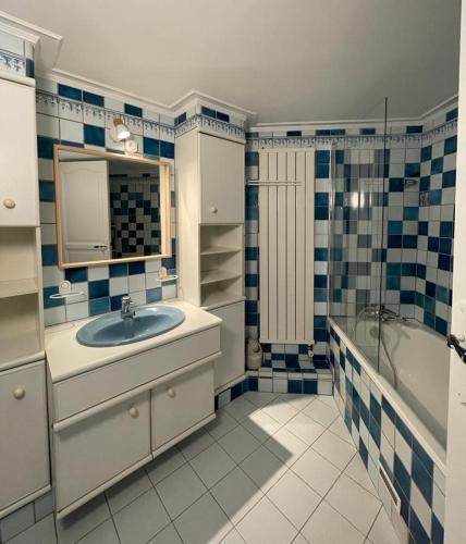 une salle de bain avec un lavabo et une baignoire dans l'établissement LIVING'Melun, la campagne à Melun !, à Melun