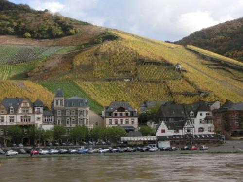 eine Stadt neben einem Fluss mit einer Reihe von Gebäuden in der Unterkunft Ferienwohnung mit Moselblick in Piesport