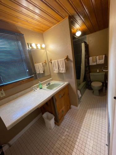 a bathroom with a sink and a toilet at Eagle Nest Fly Shack & Lodge in Eagle Nest
