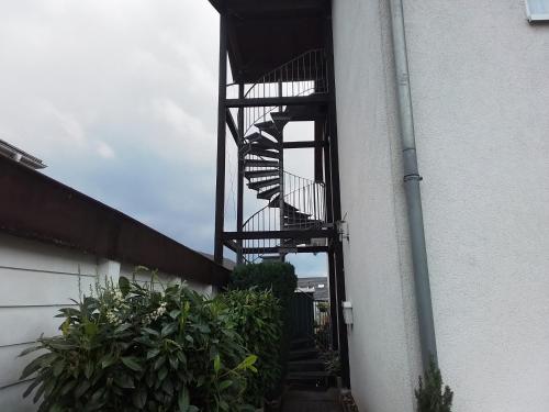 Gambar di galeri bagi Werner di Homburg
