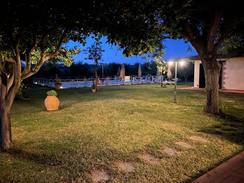 a park at night with a table and trees at Il Girasole Terzuolo in Manciano