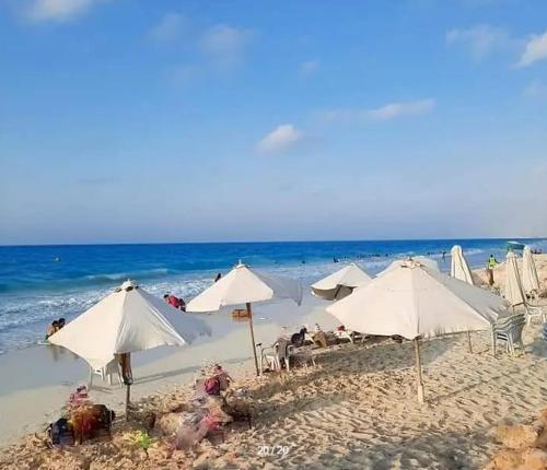 شاليه جرين بيتش العلمين ثلاث غرف