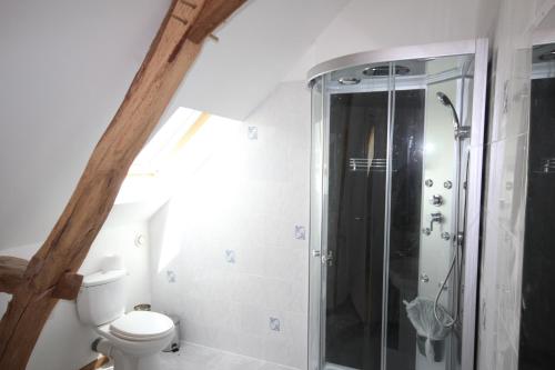 a bathroom with a shower and a toilet at Amazing renovated Loire Valley gite in La Pellerine