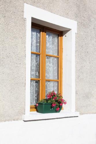 a window with a pot of flowers on a window sill at Amazing renovated Loire Valley gite in La Pellerine