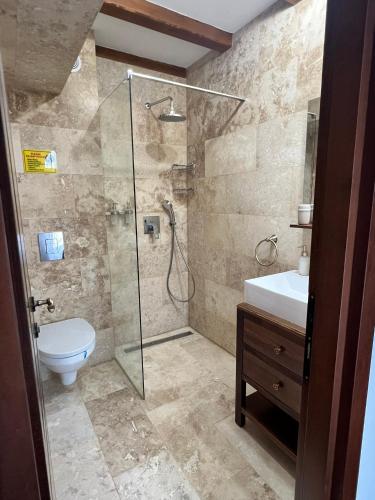 a bathroom with a shower and a toilet and a sink at Casa Tudorescu in Horezu