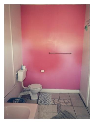 a bathroom with a pink wall and a toilet at Swartkops Cann-a-bee Air B&B in Gqeberha