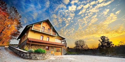 a house sitting on top of a snow covered yard at Villa Les with Hot tub & Sauna in Brežice