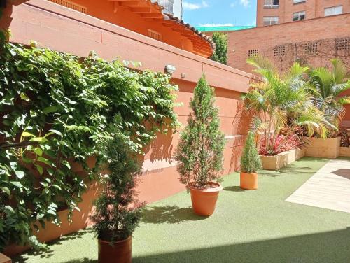a group of potted plants sitting on the side of a building at Hotel Lomas 10 Medellin in Medellín