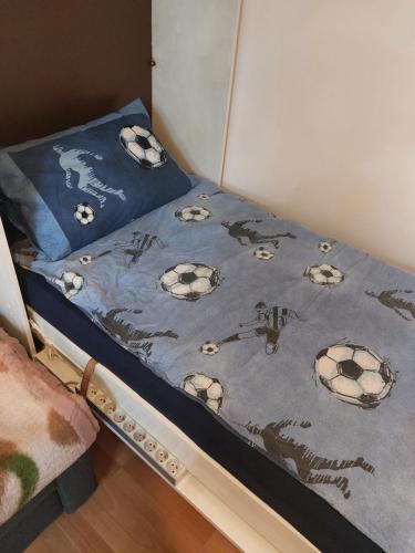 Photo de la galerie de l'établissement Chambre avec 1 lit simple et 1 canapé convertible pour deux personnes, sdb et cuisine partagées, à Savigny-sur-Orge