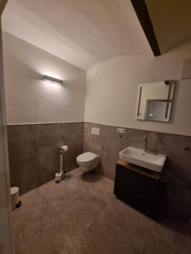 une salle de bain avec toilettes, lavabo et miroir dans l'établissement Ferienwohnung Am Schloss Gersdorf, à Markersdorf