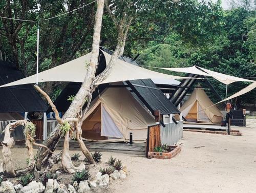un gruppo di tende in un campo alberato di Juita Glamping Perhentian island a Isole Perhentian