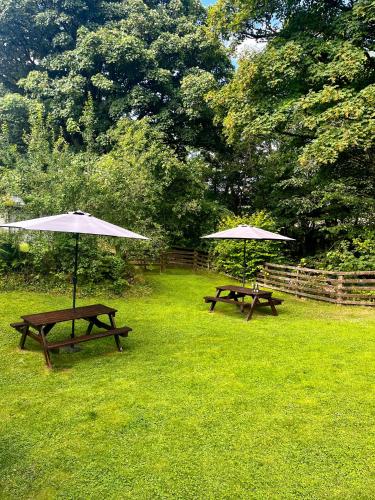 two picnic tables with umbrellas in the grass at Ardeonaig Hotel & Restaurant in Ardeonaig