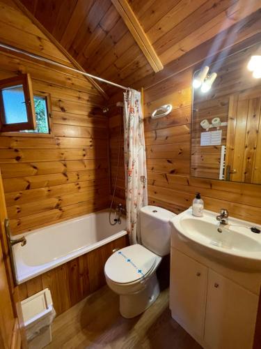 a wooden bathroom with a toilet and a sink at Camping Forcanada in Era Bordeta
