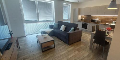 Laura Apartman & private parking