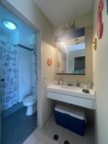 a bathroom with a sink and a toilet and a mirror at Alcaravanes 1 in Higuerote