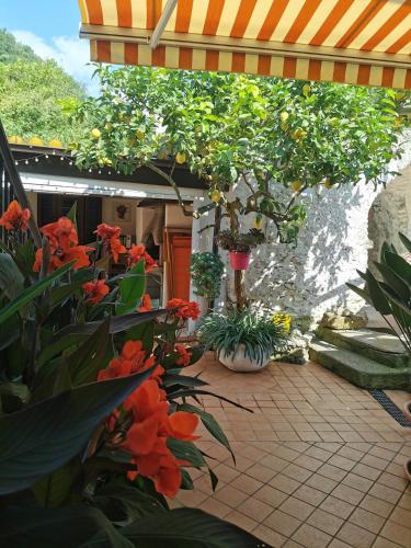 Κήπος έξω από το "Lemon Tree House" with garage for MTB