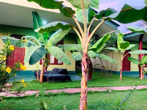 a palm tree in front of a building at Sigiri Prabha Villa in Sigiriya