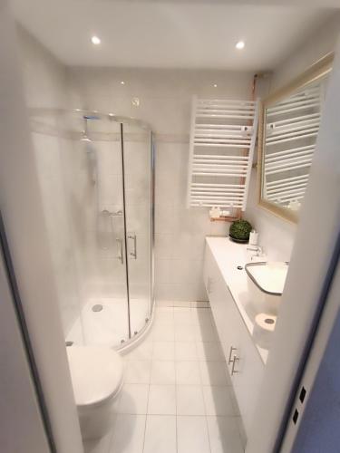 a bathroom with a shower and a toilet and a sink at Ferienwohnung-Montagewohnung 3 in Bad Driburg
