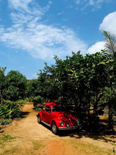 a red car parked on a dirt road next to trees at Sigiri Prabha Villa in Sigiriya