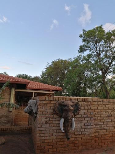 Animales en el lodge o alrededores