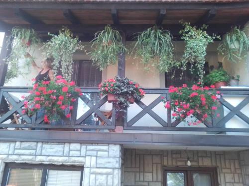 a woman standing on a balcony with flowers on it at Privatni Smeštaj Tešević in Zlatibor