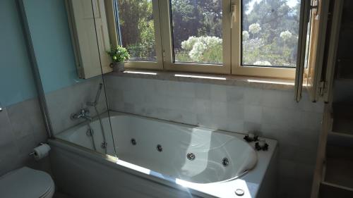 a bathroom with a tub and a toilet and two windows at Casa Azul in Vila de Rei