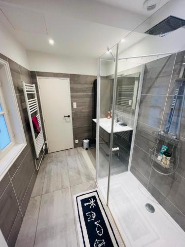 une salle de bain avec douche et lavabo dans l'établissement Le coeur de Bourges, à Bourges